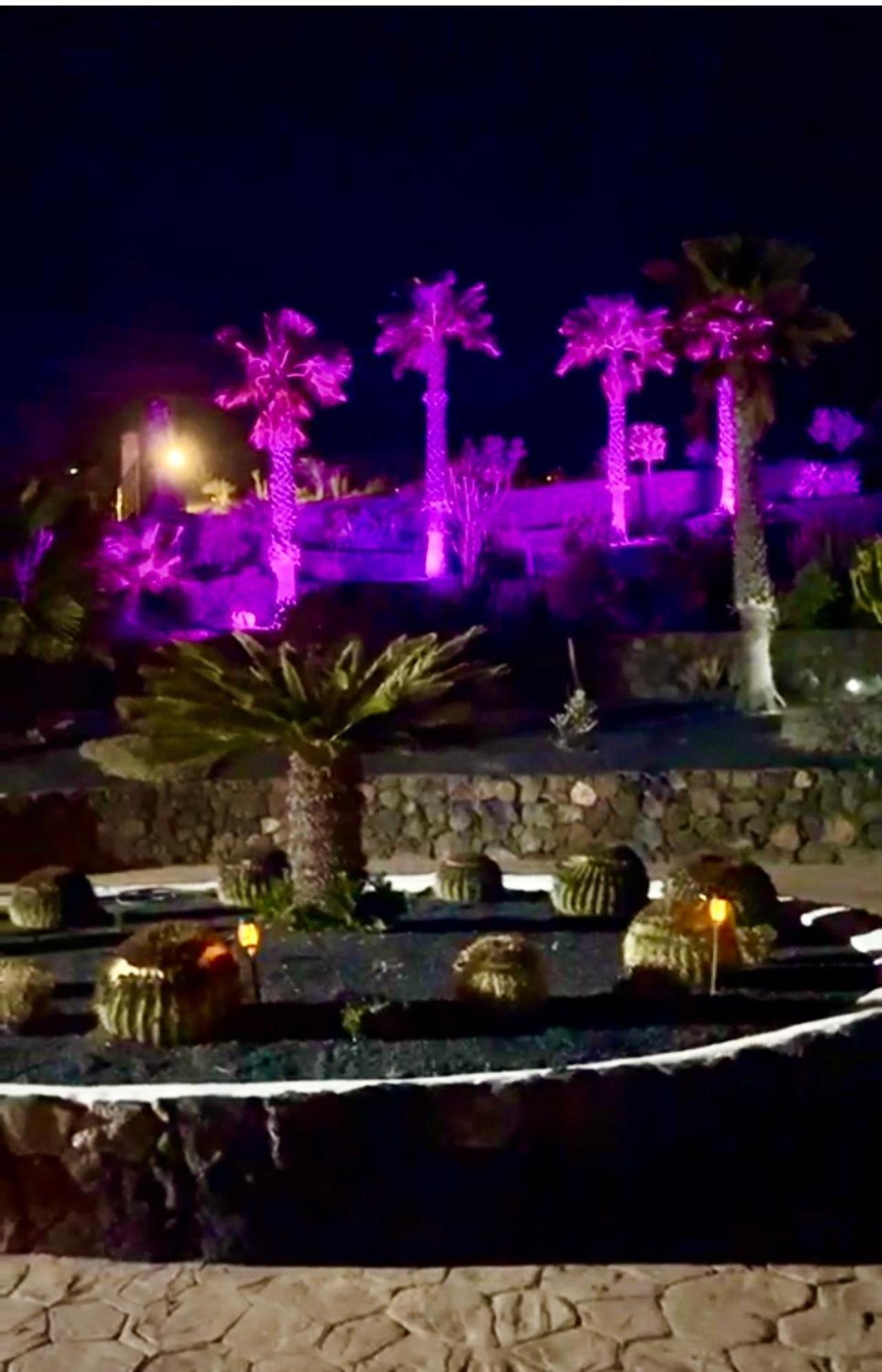 Castillo Lanzarote Villa Winni - Luxury Villa - Pet Friendly With Heated Pool Ла-Асомада Экстерьер фото