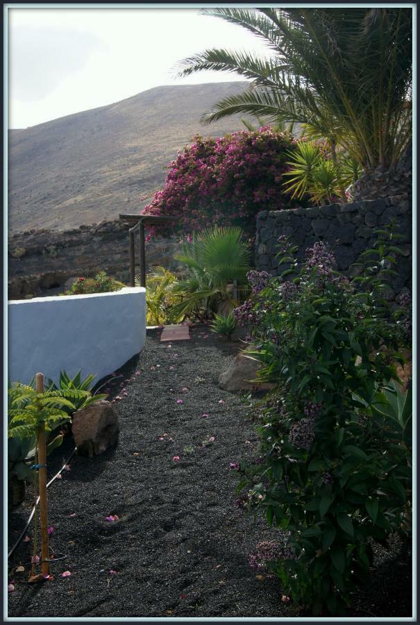 Castillo Lanzarote Villa Winni - Luxury Villa - Pet Friendly With Heated Pool Ла-Асомада Экстерьер фото